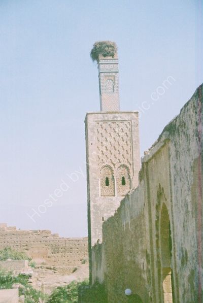 Minaret with Stork's Nest, Chellah Necropolis, Rabat